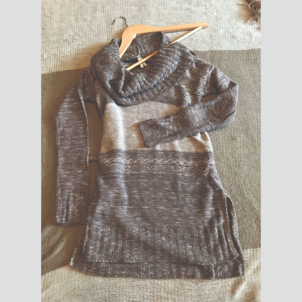 Vanity Cowl Neck Tunic Sweater